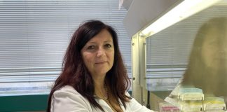 Tumori, glioblastoma: dall’aloe un aiuto contro la resistenza alla chemioterapia