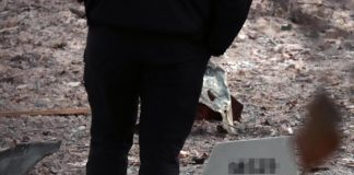 Ucraina, Romania: “Pezzi drone russo su nostro territorio”