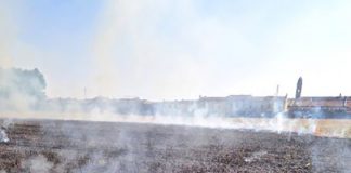 Rivarolo, bambino di 11 anni appicca un rogo che arriva alle case