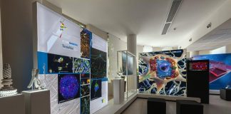 Cnr, in mostra ‘Le forme dell’invisibile’ per i 100 anni della fondazione
