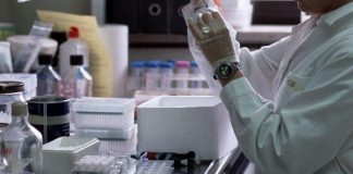 Vaccini, studio: anti-Hpv efficace a 10 anni su immunità e malattie correlate