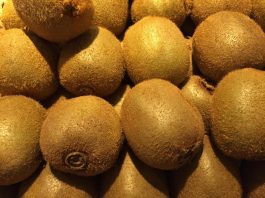 Kiwi, nel Mantovano annata dai due volti: qualità buona, ma produzioni -20% per maltempo