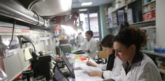 Roche, ok Aifa a primo anticorpo biospecifico per linfoma follicare