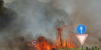 Incendio oggi Roma, a fuoco sterpaglie vicino campo nomadi Castel Romano