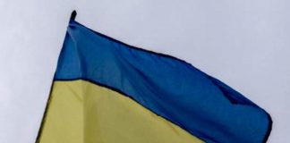 Irina Osipova assunta in Senato, ambasciata Ucraina: “Preoccupati, i russi sono un rischio nelle istituzioni”
