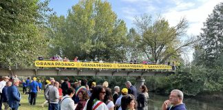 Grande successo per la 26°edizione della Fiera del Grana Padano dei Prati stabili