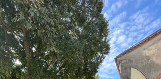 Anche a Pietole festa per i 30 anni dell’Associazione Banco Alimentare del Veneto