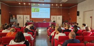 Imprese mantovane attente alla sostenibilità, ma serve lavorare su quella ambientale