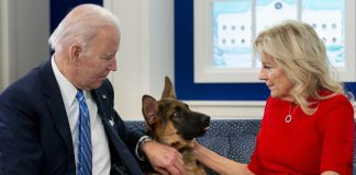Casa Bianca, il cane di Joe Biden ‘cacciato’: troppi morsi