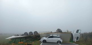 Camion che trasporta uova si rovescia sopra un’auto