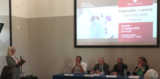 Cannabis, Russo (UniCz): “La quantità dei principi attivi diversa a seconda della tipologia”