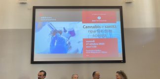 Cannabis, esperti: “Ripartire dalla scienza distinguendo farmaci dagli altri prodotti”