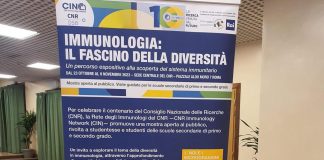 Ricerca, dal Cnr-Cin un ‘kit’ per avvicinare i ragazzi alla scienza