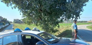 Controlli stradali: 7 patenti ritirate per guida in stato di ebbrezza e 3 per uso di droghe