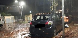 Maltempo in Toscana, tromba d’aria su Torre del Lago: “Tetti scoperchiati”