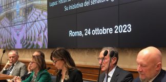 Lupus eritematoso, esperti: “Nuove prospettive di cura da diagnosi precoce”
