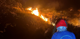 Incendi in Sicilia, decine di interventi nella notte
