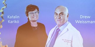 Nobel Medicina 2023, chi sono Karikó e Weissman: ‘genitori’ vaccini a mRna