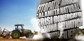 Prezzi alle stelle nel carrello con aumenti del 500% ma agricoltori più poveri. Cia Mantova scende in piazza a Roma