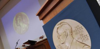 Nobel Letteratura 2023, ecco i candidati favoriti