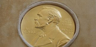 Nobel pace 2023, Zelensky o Navalny? Aumentano chance donne, indigeni e ambientalisti