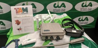 Innovazione: tra droni e Ai, l’agrifood guarda al futuro