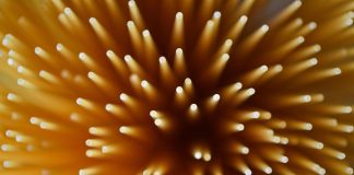 Giornata mondiale della pasta, ecco i 5 falsi miti da sfatare