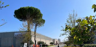O’Callaghan (Sanofi), ‘stabilimento Anagni risorsa importante’