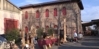 San Martino alla Cantina di Quistello tra arte, vino e tanto divertimento