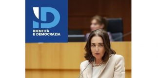 Gancia (Lega): Euro7, vince il buonsenso: il centrodestra unito protegge imprese e famiglie