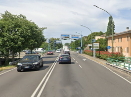 Porto, due settimane di senso unico alternato sulla Cisa per interventi alle alberature