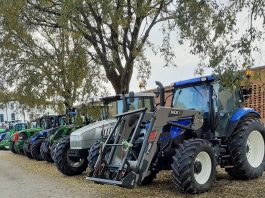 Rivarolo Mantovano-Spineda, sabato 17 gennaio torna la Festa di Sant’Antonio