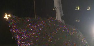 Usa, cade l’albero di Natale della Casa Bianca: colpa del forte vento