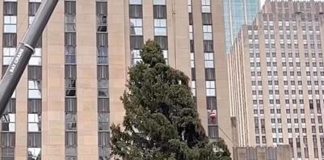 New York, torna l’albero di Natale al Rockefeller Center