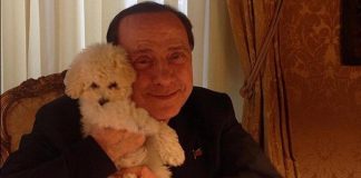 Berlusconi, la seconda vita di Dudù: il barboncino resta con Fascina ad Arcore