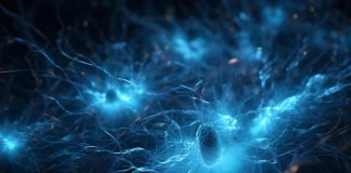 Alzheimer, nel grasso la spia della malattia 15 anni prima della perdita di memoria