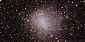 Spazio: Giuseppe Racca (Esa) all’Adnkronos: “Euclid vede ‘l’invisibile'”