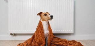 Energia, si accendono i termosifoni: bolletta del gas più pesante