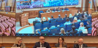 Malattie autoimmuni, nasce Intergruppo parlamentare per la prevenzione e la cura