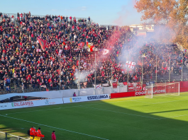 Calcio Serie C – Mantova sconfitto in casa dal Trento (0-1): viene raggiunto in testa dal Padova