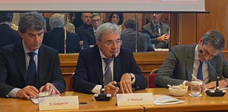 Mantoan (Agenas), ‘piattaforma nazionale telemedicina pronta 1 gennaio 2024’