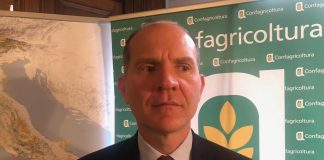 Sostenibilità, Giansanti (Confagricoltura): “Agricoltura protagonista concetto capitale naturale”