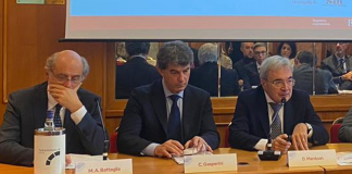 Gasperini (Sin), ‘televisita in sclerosi multipla modello in malattie croniche’