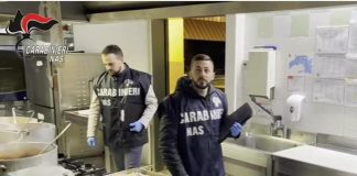 Blatte in frigo e escrementi di topo, i Nas nelle mense scolastiche