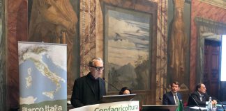 Sostenibilità, Parco Italia: 70mila alberi piantati entro la fine del 2024 con supporto di Amazon