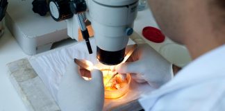 Ricerca, 13 scienziati Neuromed nel 2% dei migliori al mondo