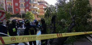 Forte vento su Roma, cade albero a Monteverde: morta una donna