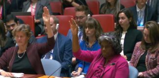 Israele-Hamas, ok Consiglio sicurezza Onu a risoluzione su ‘pause umanitarie’ a Gaza