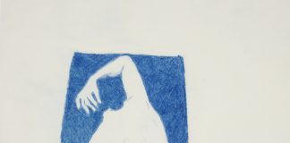 “Emi Ligabue. Manuale Copiativo”: sabato la mostra apre alla Casa del Rigoletto