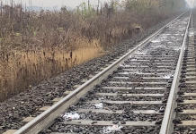 Linea Modena-Mantova, al via la seconda fase: lavori per 17,5 milioni di euro